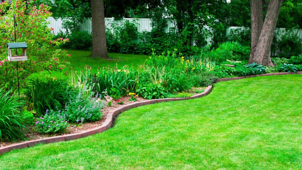 The Complete Seasonal Lawn Care Calendar: Year-Round Tips for a Healthy Lawn