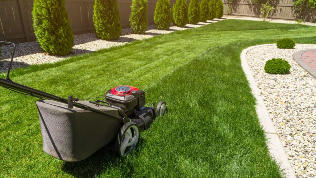 Lawn Care Services