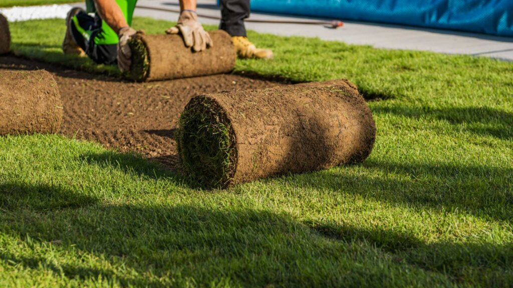Premium Lawn Installation