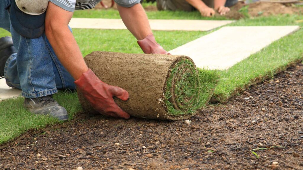 Sod Installation