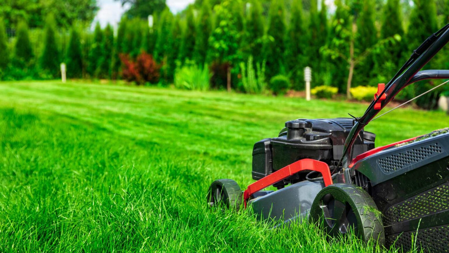 Commercial Lawn Maintenance Mount Prospect, IL
