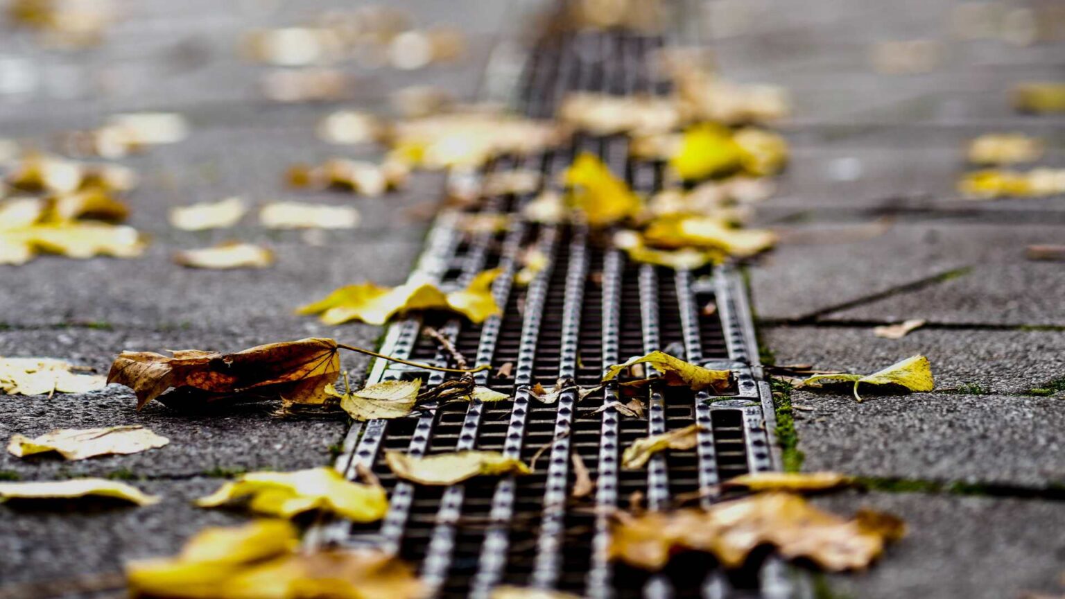 Rainwater Drainage Mount Prospect, IL