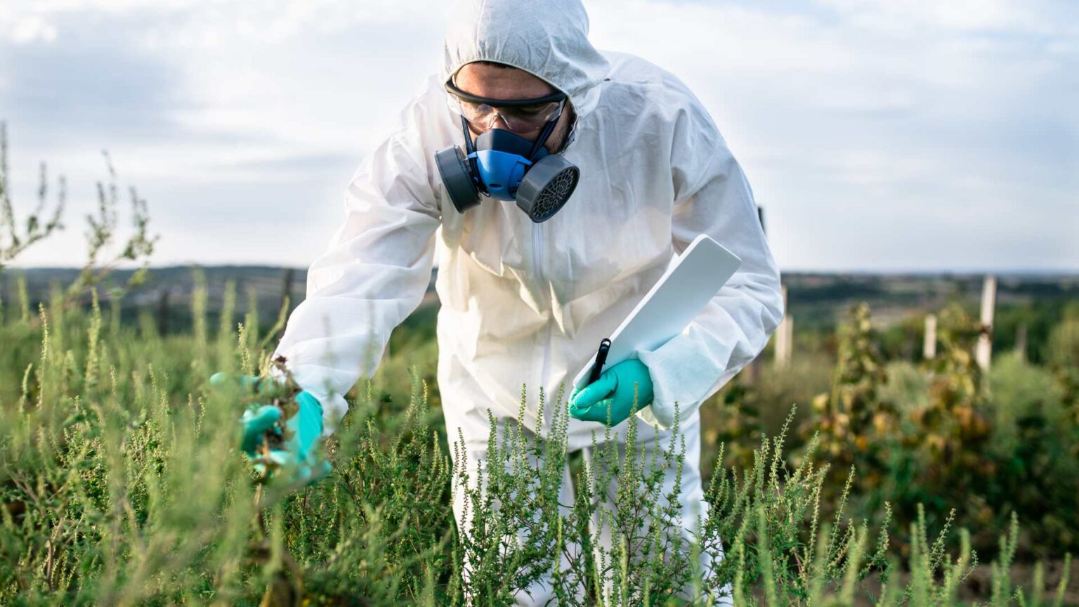 Weed Control Mount Prospect, IL