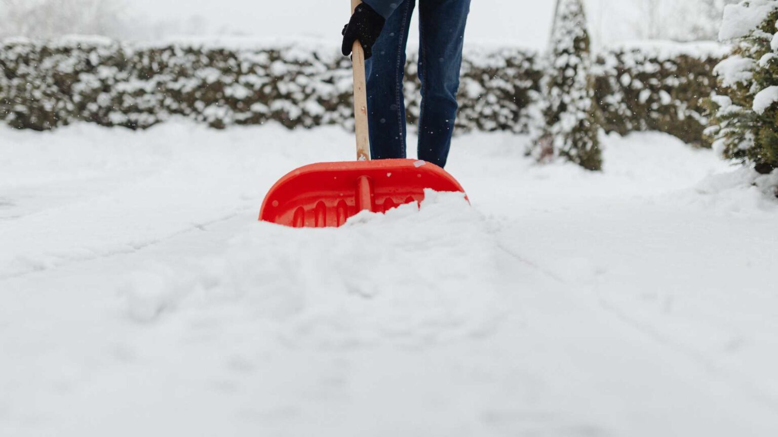 Winter Lawn Maintenance Mount Prospect, IL Img