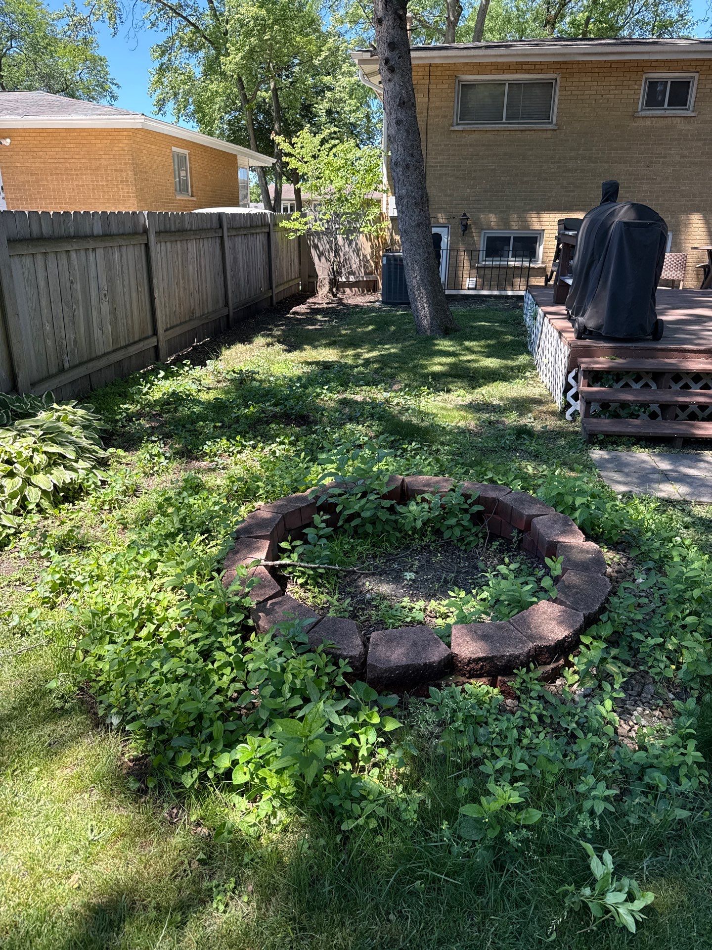 Backyard Sod Installation