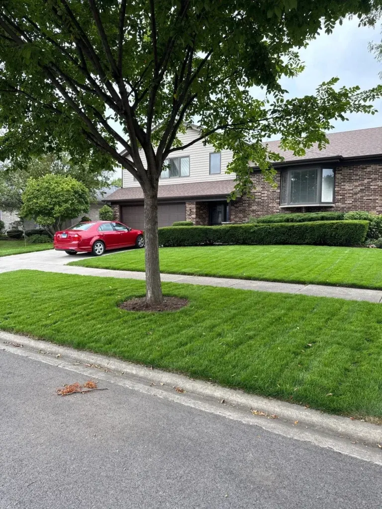 manicured front lawn with neatly trimmed shrubs and improved curb appeal