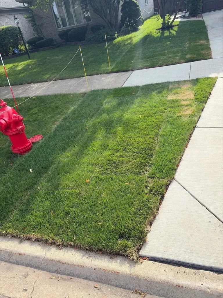 healthy manicured lawn with clean edges along residential sidewalk