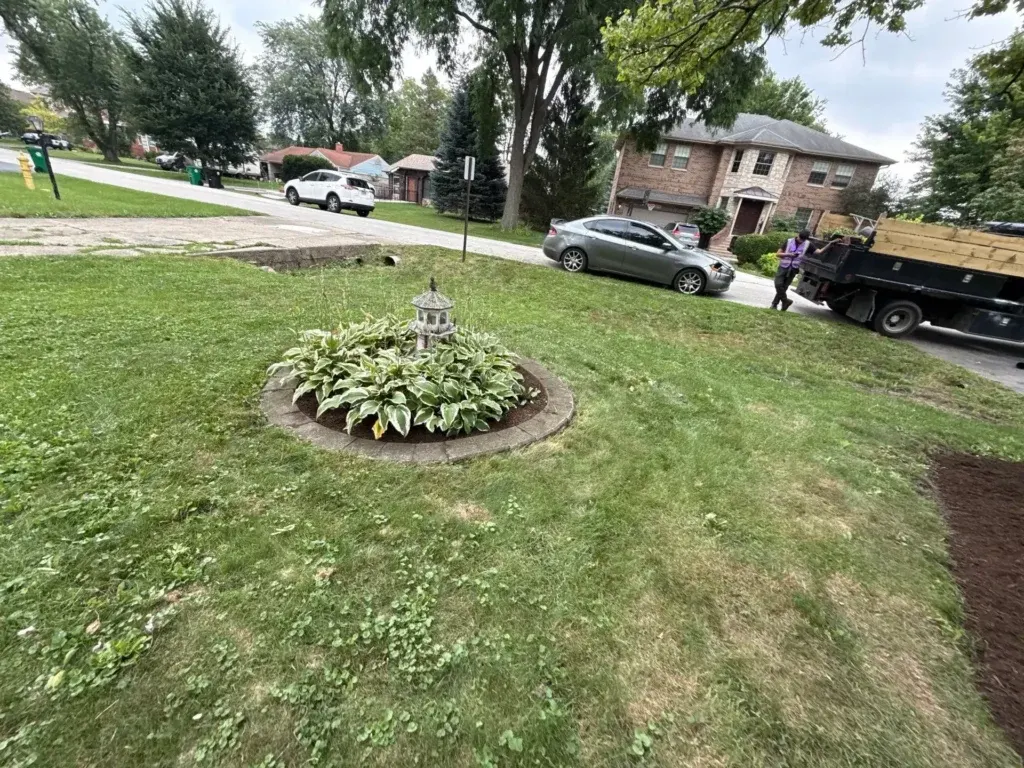 refreshed front yard with manicured lawn and professionally defined planting bed