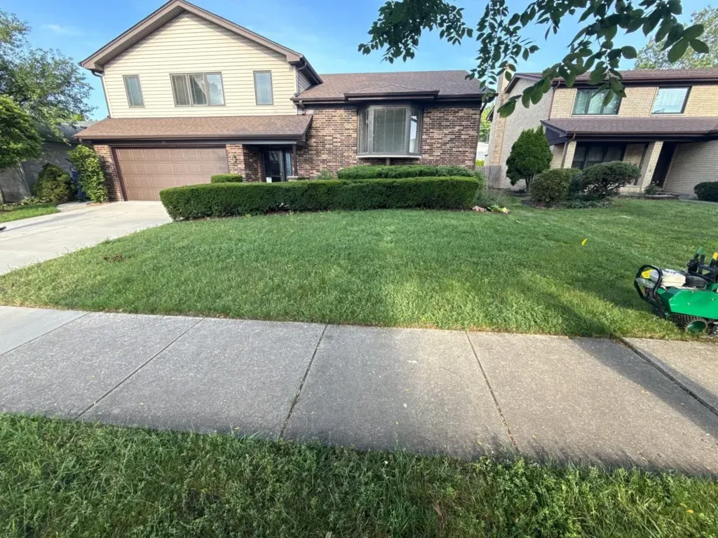 overgrown front yard shrubs and unmaintained lawn at residential property