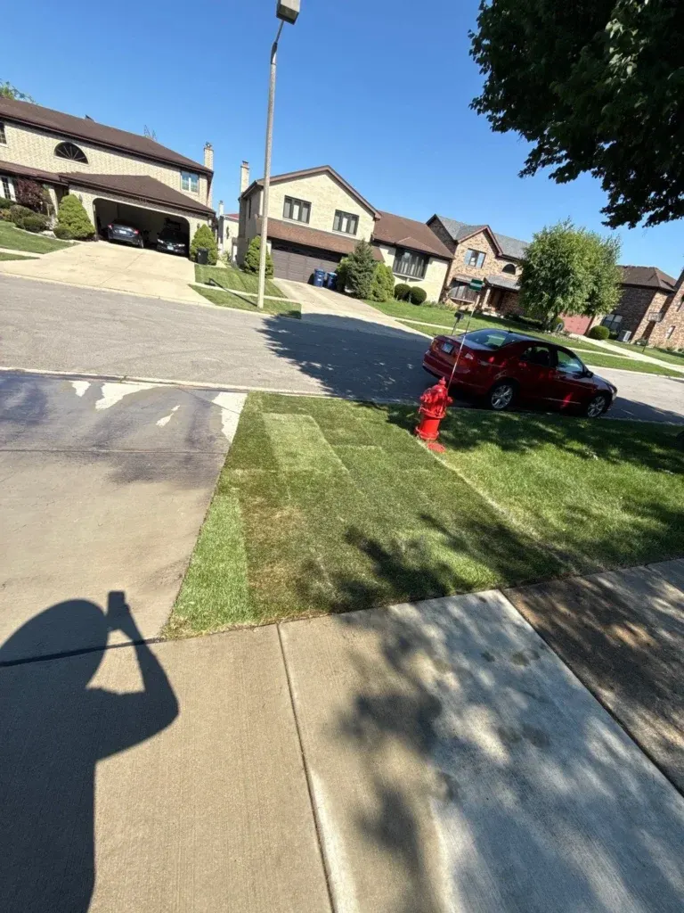 patchy lawn and uneven grass along residential sidewalk