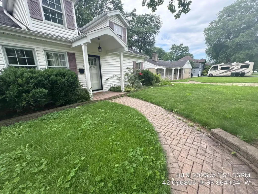 overgrown front yard with uneven lawn and unmaintained landscaping