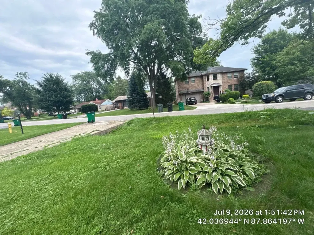 overgrown residential front yard with large lawn and unstructured garden bed