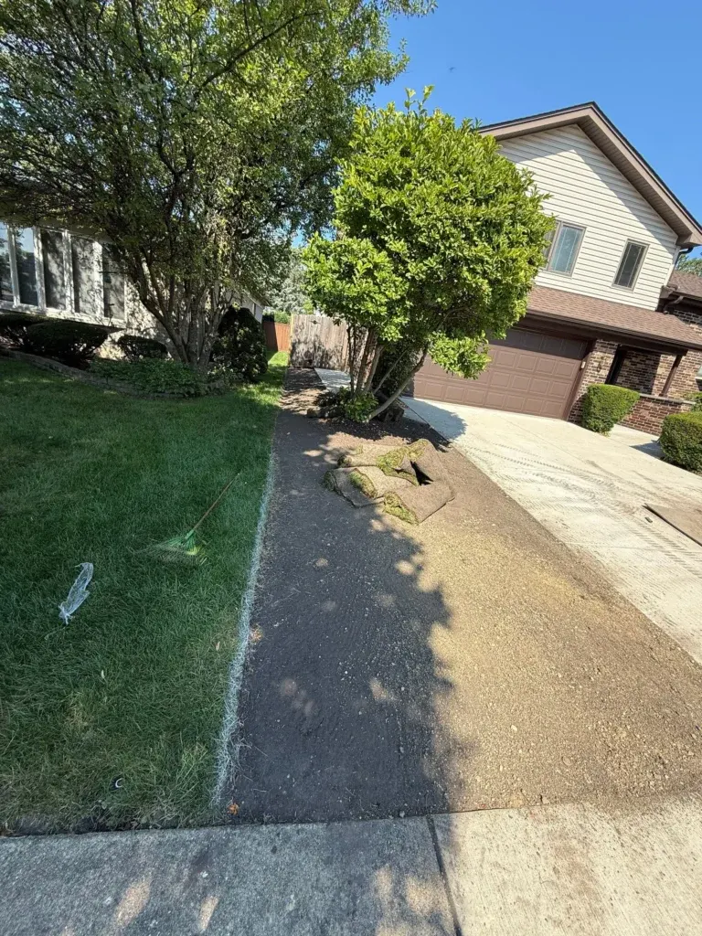 overgrown landscaping and unmaintained lawn around residential driveway