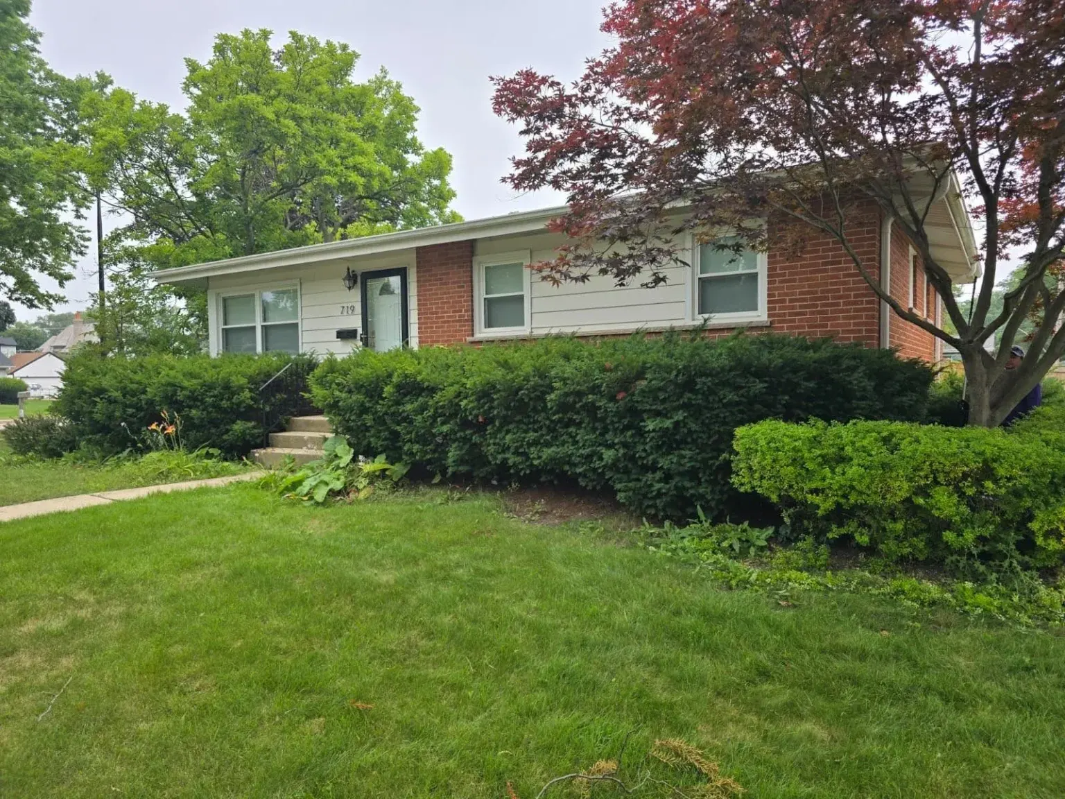 Landscape Transformed In Mount Prospect