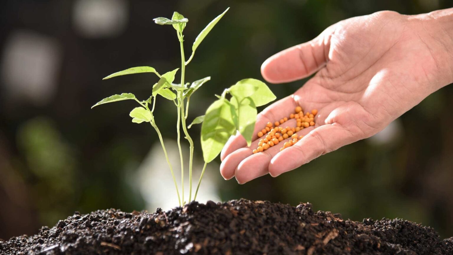 Fertilizer