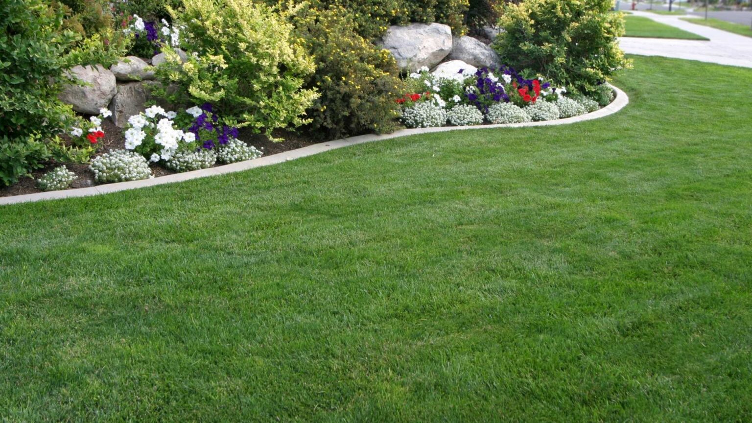 Foundation Planting In Mount Prospect IL