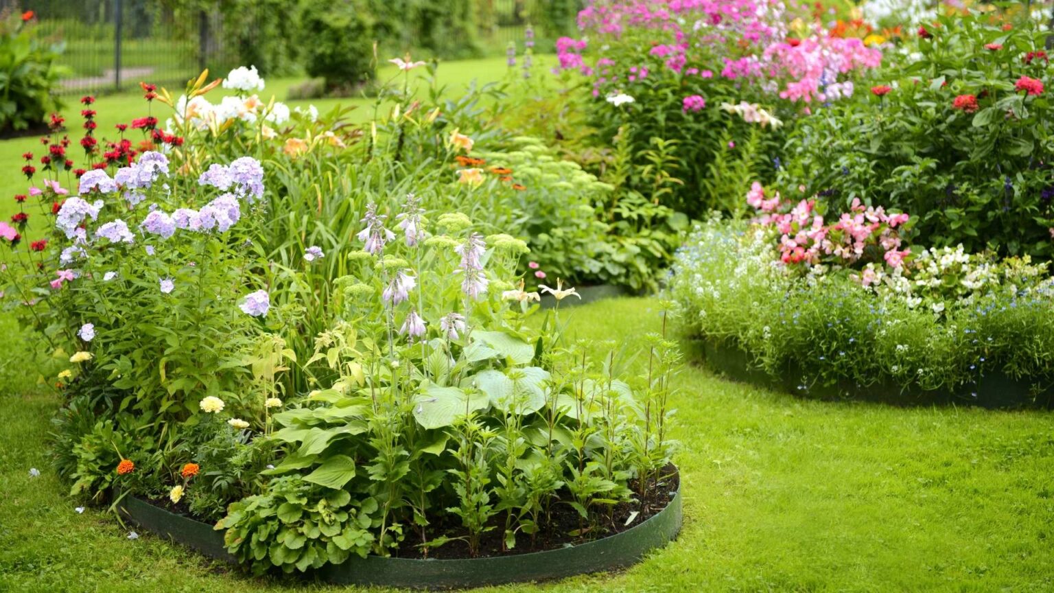 Landscape Bed Renovation Mount Prospect IL