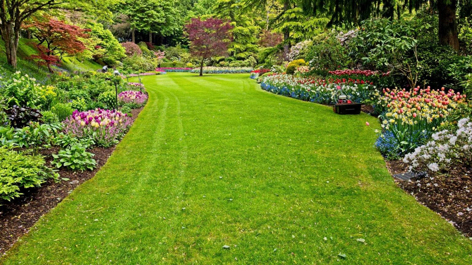 Plant Installation Mount Prospect IL