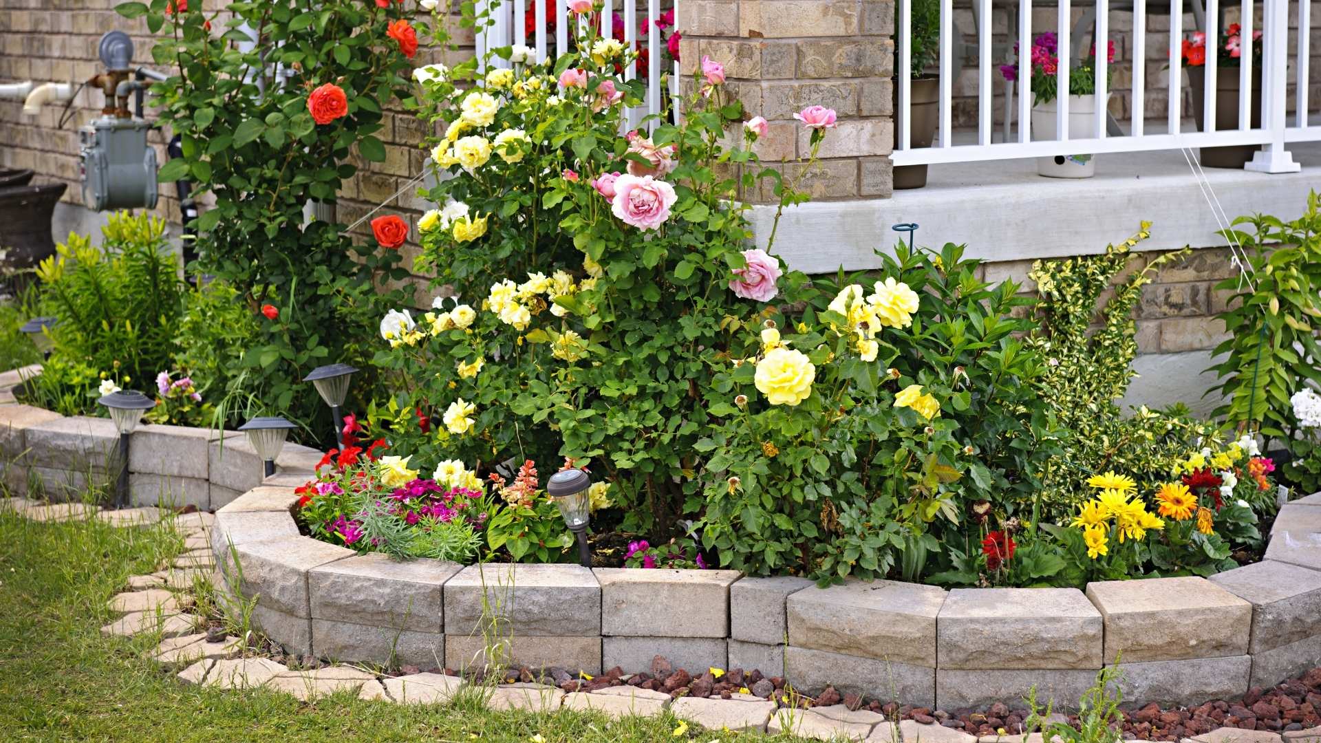 Plant Installation in Mount Prospect IL