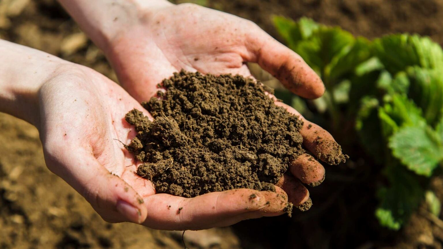 Soil Preparation and Grading Mount Prospect IL