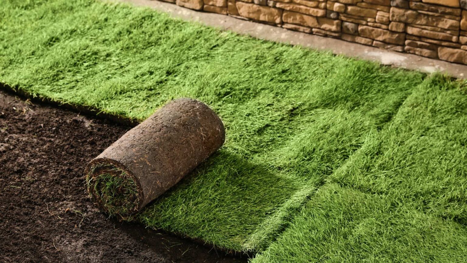 sod replacement Mount Prospect IL