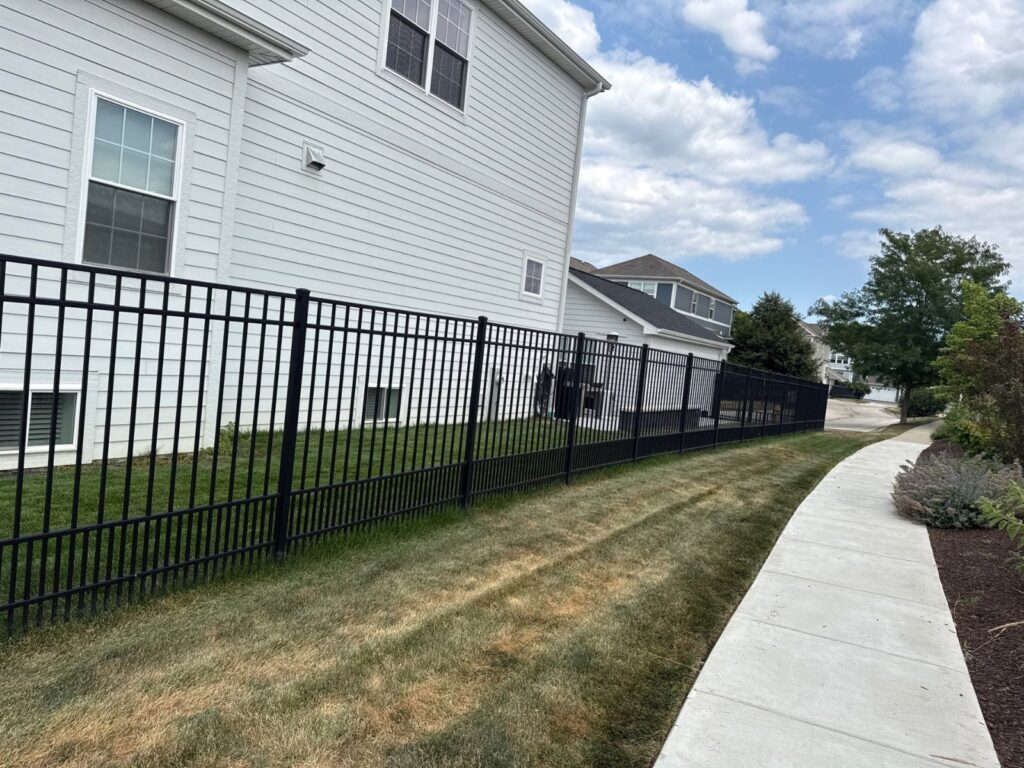 Yard before arborvitae privacy planting