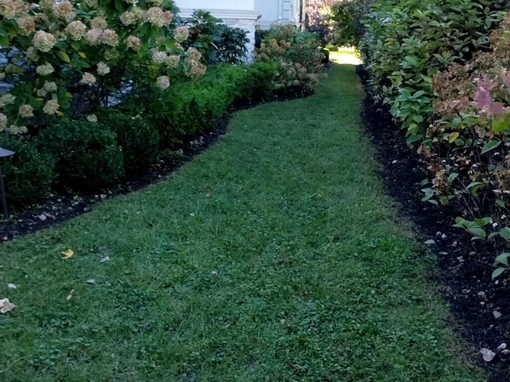 Arlington Heights side yard after landscaping
