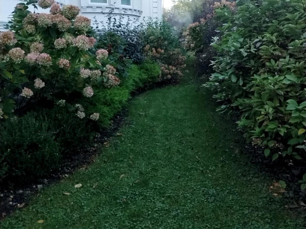 Arlington Heights side yard before landscaping