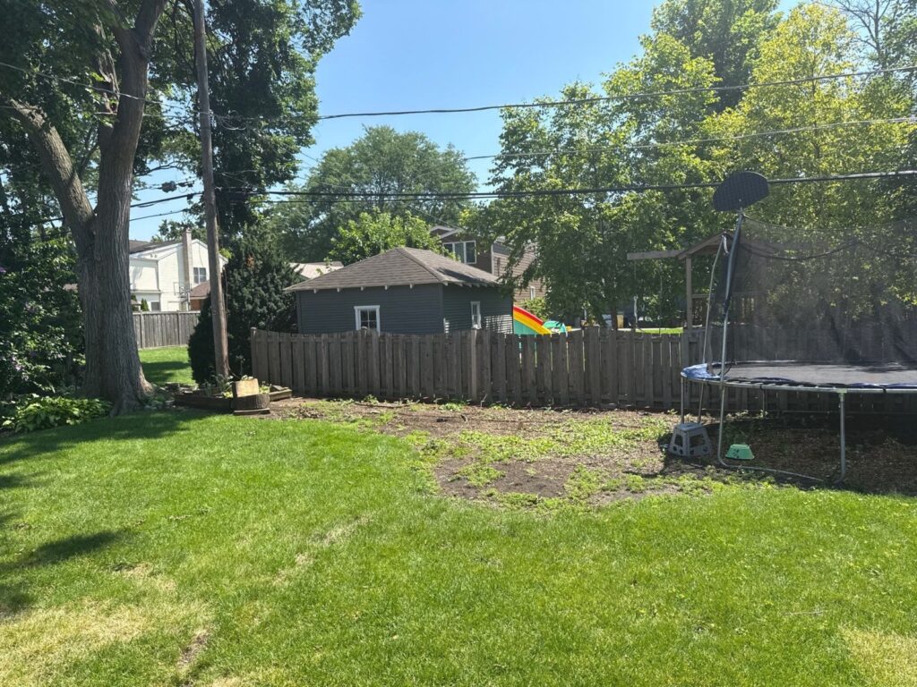 Yard before new sod installation