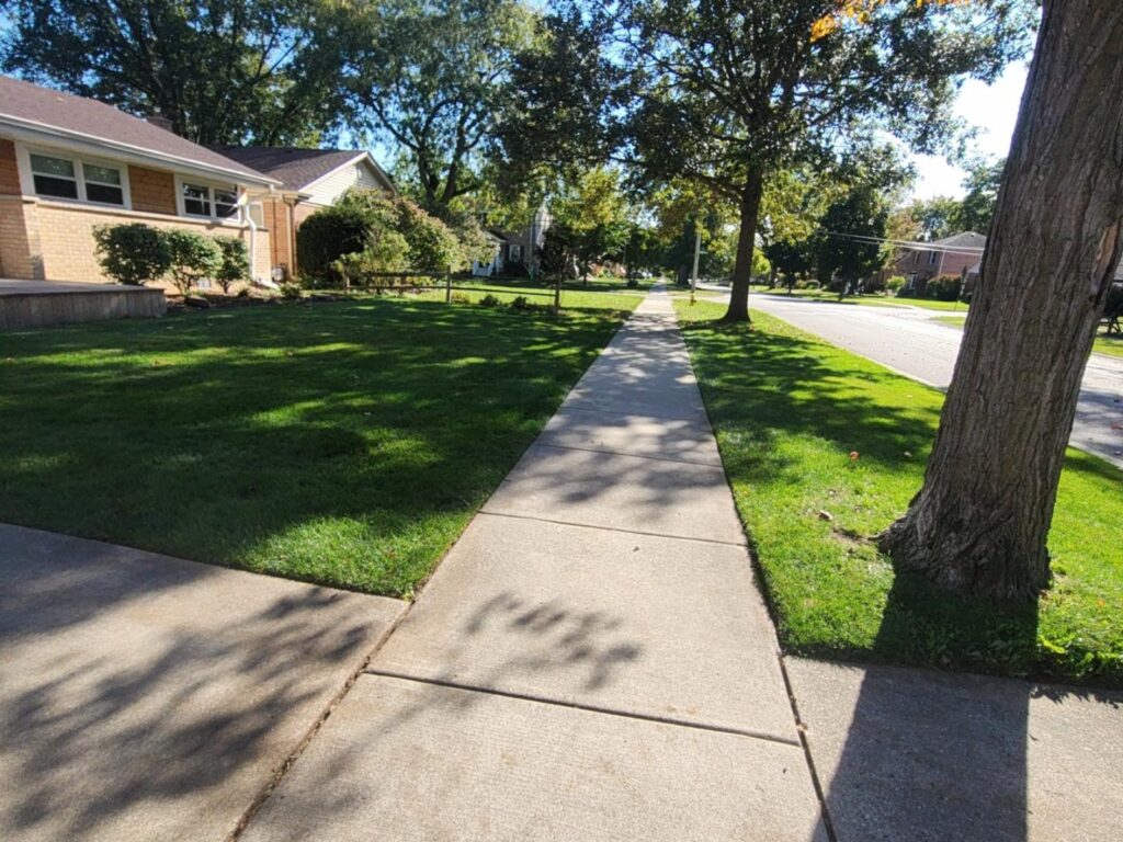 Yard after fall leaf cleanup