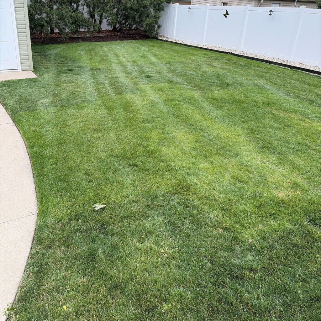 Freshly striped backyard lawn maintained by A&N Outdoor Services
