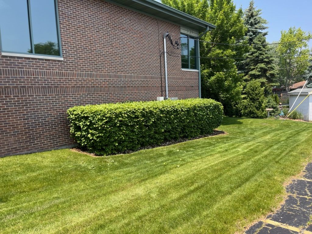 Neatly trimmed hedges