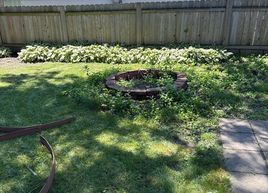 Backyard Sod Installation