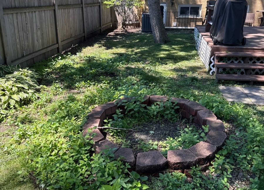 Backyard Sod Installation